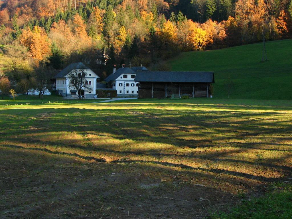 Apartments Cvetje V Jeseni Skofja Loka Bagian luar foto